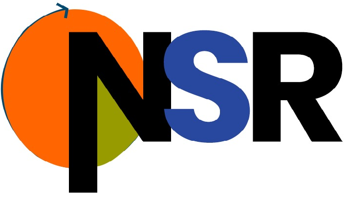 NSR INFOTECH Logo